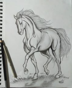 a pencil drawing of a running horse