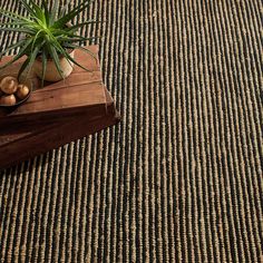 a potted plant sitting on top of a wooden block in front of a rug