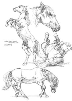 two drawings of horses and jockeys, one is riding the horse while the other is standing