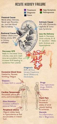 an old medical poster with information about the human body and their functions in it's structure