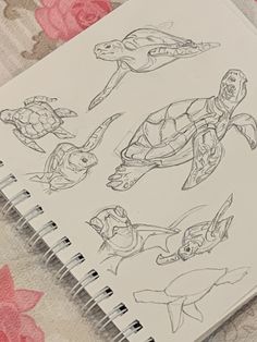 an open notebook with drawings of turtles on it