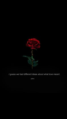 a red rose with the words i guess we had different ideas about what love meant