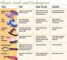 basic tools and techniques for how to use them in the bathroom, including hairbrushes