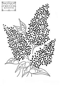 a drawing of some red berries on a branch with the words lilac written below it