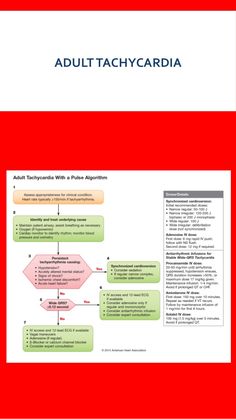 AHA 2015 Algorithms for BLS, ACLS PALS General Physician, Medical Things, Basic Life Support, Nursing Study Guide