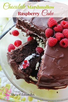 a chocolate marshmallow raspberry cake on a plate with a slice missing