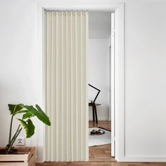 an open door with white vertical blinds in the living room, and a potted plant next to it