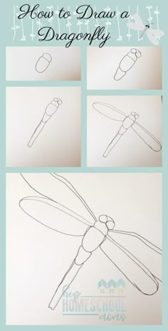 how to draw a dragonfly