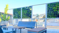 an outdoor deck with seating and vertical plants on the wall behind it, along with tables and chairs