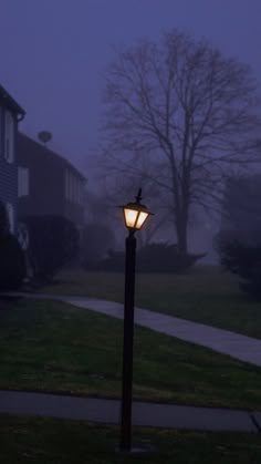 a street light on a foggy night in front of a house