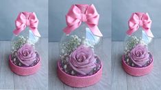 three pictures of pink roses in a glass dome with baby's breath flowers inside