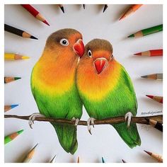 two birds are sitting on a branch with colored pencils behind them and one bird has its eyes closed