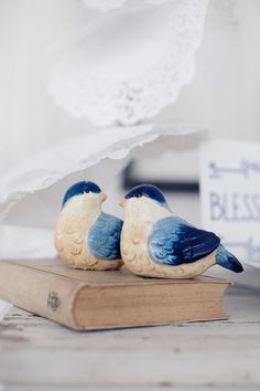 two blue and white birds sitting on top of a book