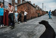 a group of people standing on the side of a road next to a black dog