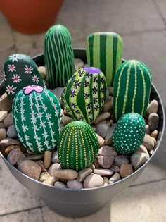 there are many small cactuses in the pot on the rocks and graveled ground