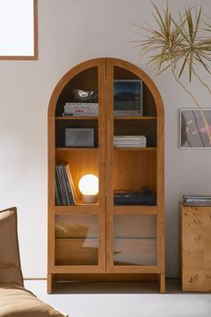 a wooden book shelf with books on it and a potted plant in the corner