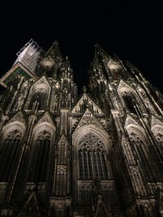 the large cathedral is lit up at night