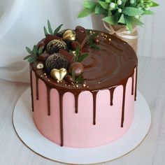 a pink and chocolate cake sitting on top of a white plate next to a potted plant