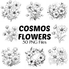 the flowers are drawn in black and white, so you can use them to make your own drawing