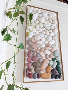 there are many different colored rocks on the wall next to a potted green plant