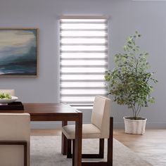 a dining room table with two chairs and a potted plant in front of it