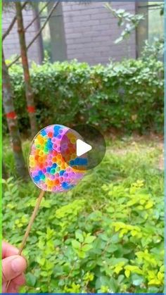 a hand holding a colorful lollipop in front of some bushes and trees,