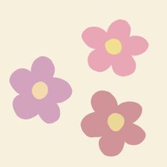 three pink and purple flowers on a white background