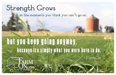 a field with grass and a quote about strength grows in the moment you think you can't go on