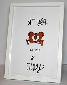 a white frame with an image of a teddy bear and the words sit your down and study