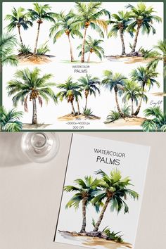 watercolor palm trees on a white background with green trimmings and the words, watercolor palms