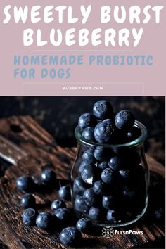 blueberries in a glass jar with the words sweety burst blueberry homemade probiotic for dogs