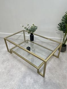 a glass coffee table with two plants on the top and one potted plant behind it