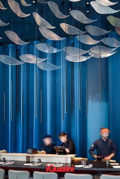 three people sitting at a table in front of blue curtained walls with suspended lights