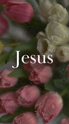 the words jesus written in white and pink flowers on a window sill with raindrops