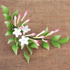 small white and pink flowers with green leaves on a brown cloth background, closeup