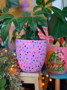 two potted plants sitting on top of a wooden table next to christmas decorations and lights