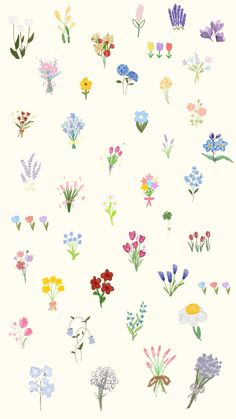 an image of various flowers on a white background with watercolors and pastel colors