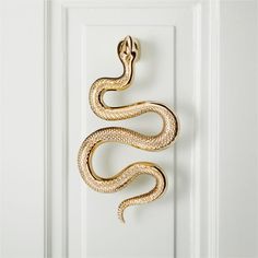 a door handle with a snake on it's side hanging from a white door