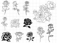 several different types of roses are shown in black and white