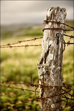 an old wooden post with barbed wire on it