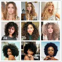 3b Hair Bangs, Curly Hair Types Charts, 3c Short Hair, Short 4a Hairstyles, Short Curly Hair 3b 3c, 3c Hairstyles Short, Type 3 Hair, Hair Type Chart, 3b Curly Hair