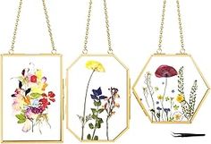 three floral paintings hanging from chains on a wall