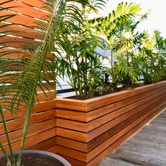 a planter filled with lots of green plants on top of a wooden deck next to a wall