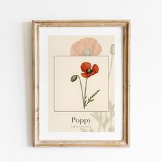 an image of poppys in a frame on the wall