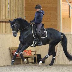 a woman riding on the back of a black horse in an indoor arena with wooden walls