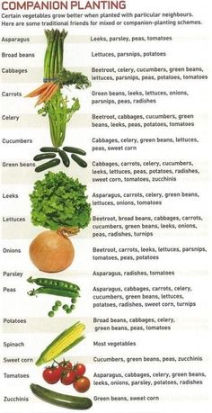 a poster with different types of vegetables and the words companion planting written in english on it