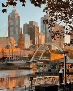 the city skyline is reflected in the water near a bridge and some trees with leaves on it