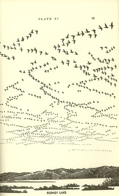 an old book with birds flying in the sky above water and land below it are mountains