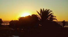 the sun is setting over the ocean with palm trees and buildings in the foreground