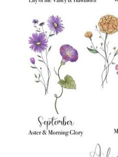 four different types of flowers with names on them